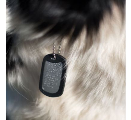 dog tags for pets