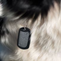 dog tags for pets