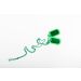plain-green